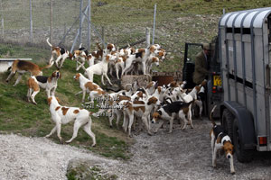 Coniston Hunt pictures by Betty Fold Gallery